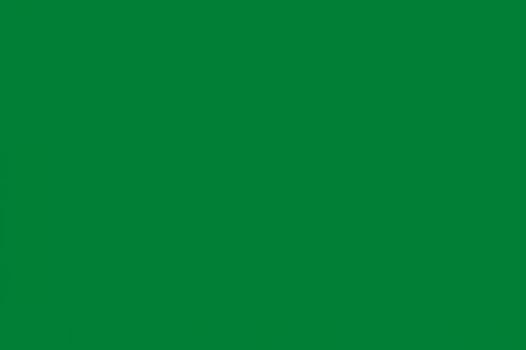 30-746 Bright green