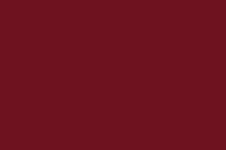 50-49  BURGUNDY