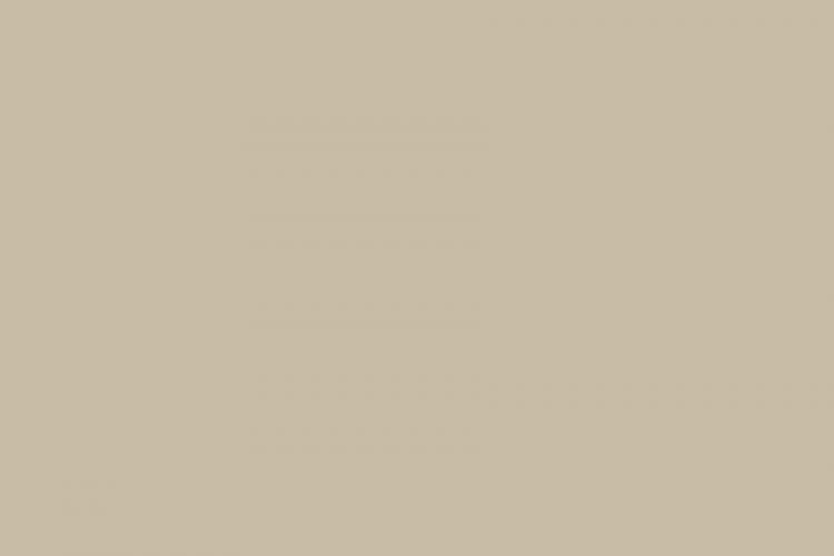 3630-149 Beige PANTONE 468C |